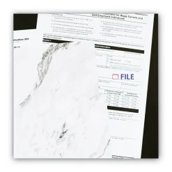 ACCUSTAMP2 1.63 in. x 0.5 in. FILE Pre-Inked Shutter Stamp - Red/Blue