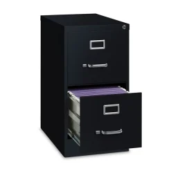 Alera 15 in. x 22 in. x 28.37 in. Letter-Size Two-Drawer Economy Vertical File - Black