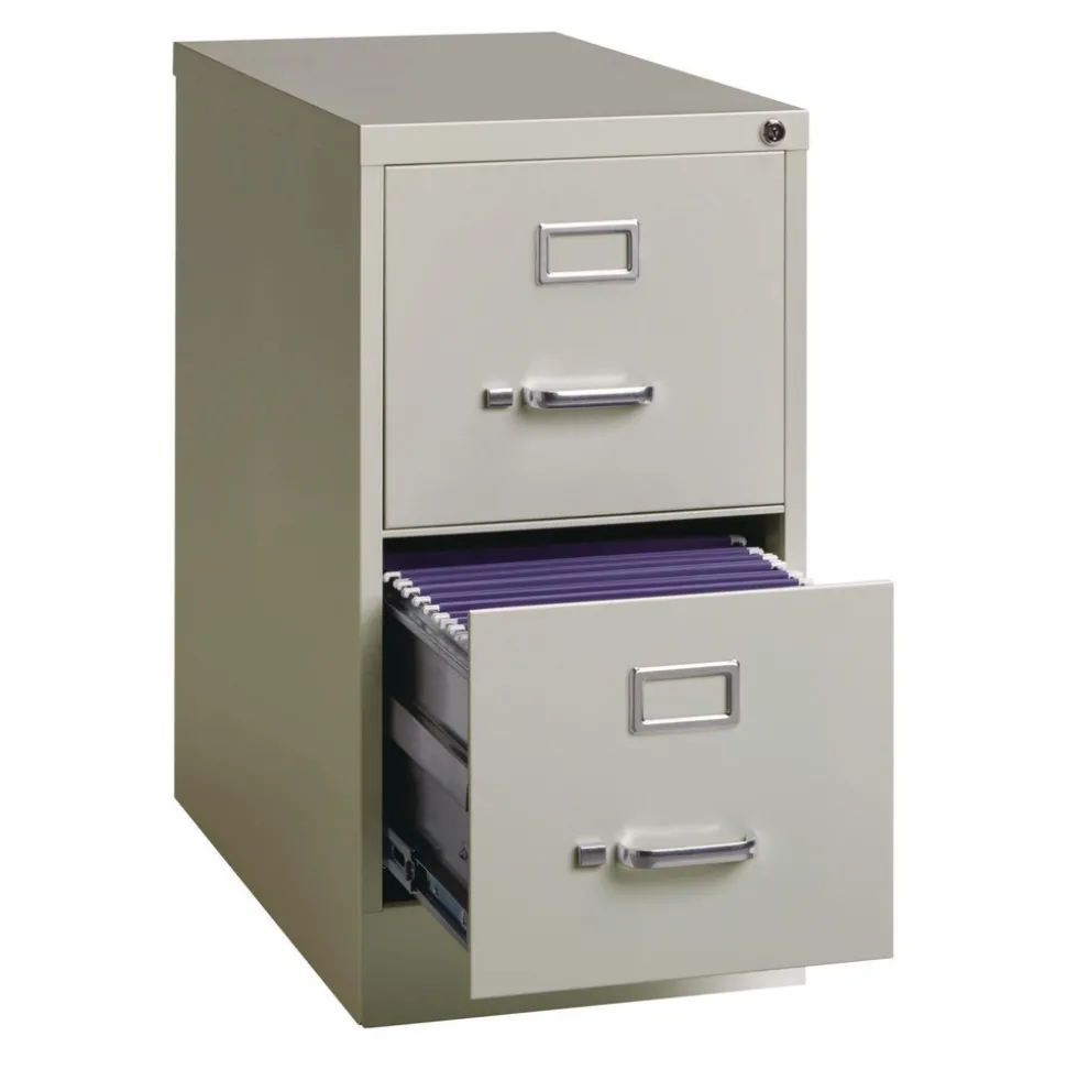 Alera 15 in. x 25 in. x 28.38 in. Letter-Size 2-Drawer Economy Vertical File - Light Gray