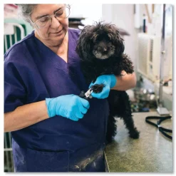 Ammex 9.5 in. Long 3 mil Powder-Free Nitrile Exam Gloves - Large/Light Blue (1000/Carton)