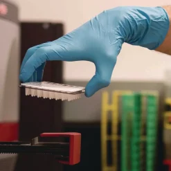 Ammex 8 mil Blue Powder-Free Nitrile Exam Gloves - Medium, Blue (500/Carton)