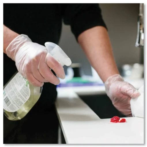 Ammex 3 mil Industrial Powder-Free Vinyl Gloves - Large, Clear (1000/Carton)