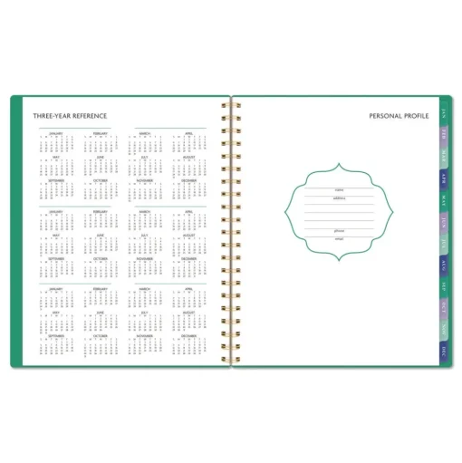 AT-A-GLANCE 11 in. x 8.5 in. 13-Month (Jan-Jan 2026) Badge Geo Weekly/Monthly Planner - Green Cover