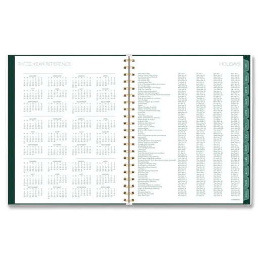 AT-A-GLANCE 11 in. x 8.5 in. 12-Month (Jan-Dec 2026) Emerald Isle Weekly/Monthly Planner - Green Marbled Cover