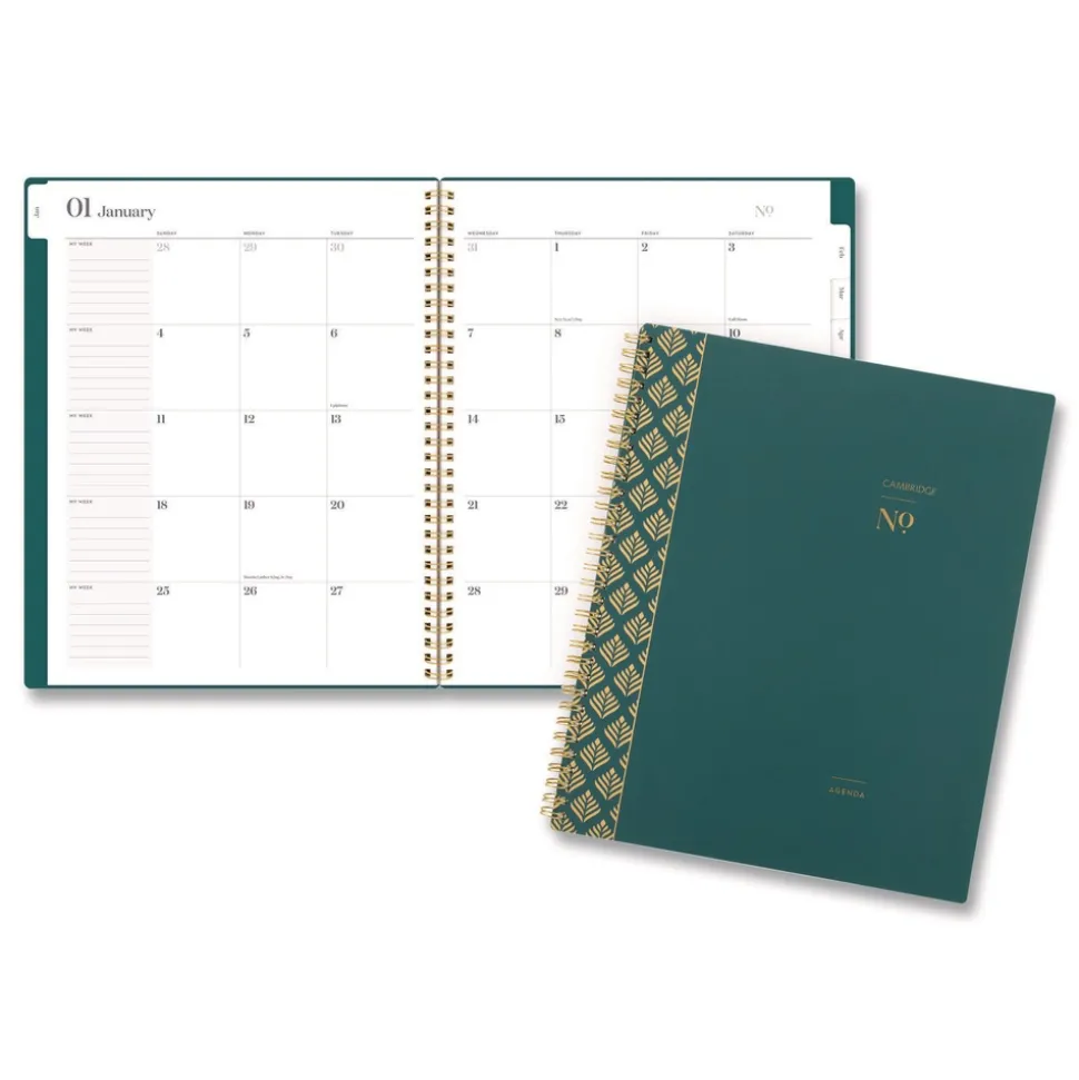 AT-A-GLANCE 11 in. x 8.5 in. 12-Month (Jan-Dec 2026) WorkStyle Poly Monthly Planner - Teal Cover