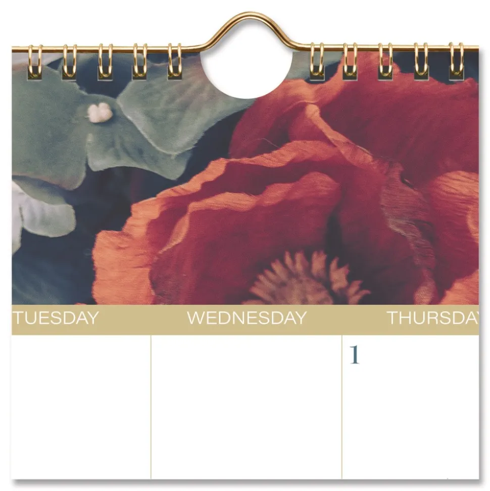 AT-A-GLANCE 15 in. x 12 in. 12-Month (Jan-Dec): 2026 Midnight Garden Monthly Wall Calendar - Floral Artwork