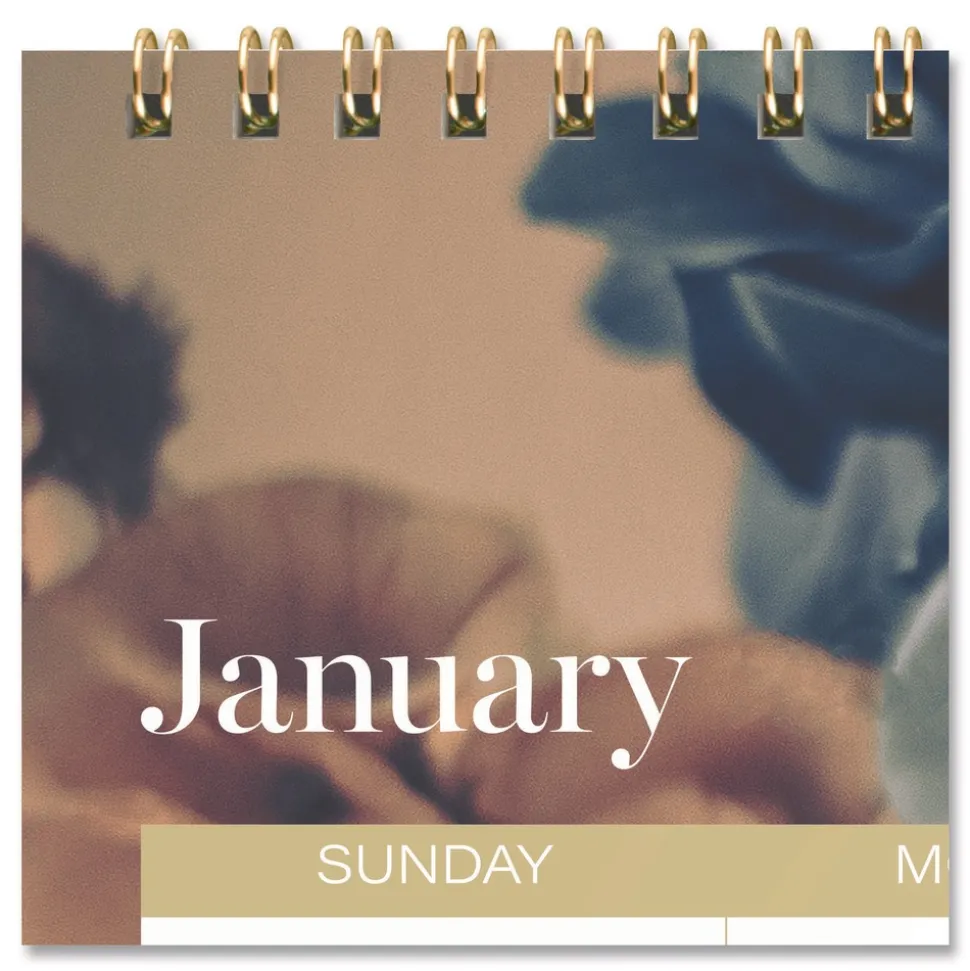 AT-A-GLANCE 15 in. x 12 in. 12-Month (Jan-Dec): 2026 Midnight Garden Monthly Wall Calendar - Floral Artwork