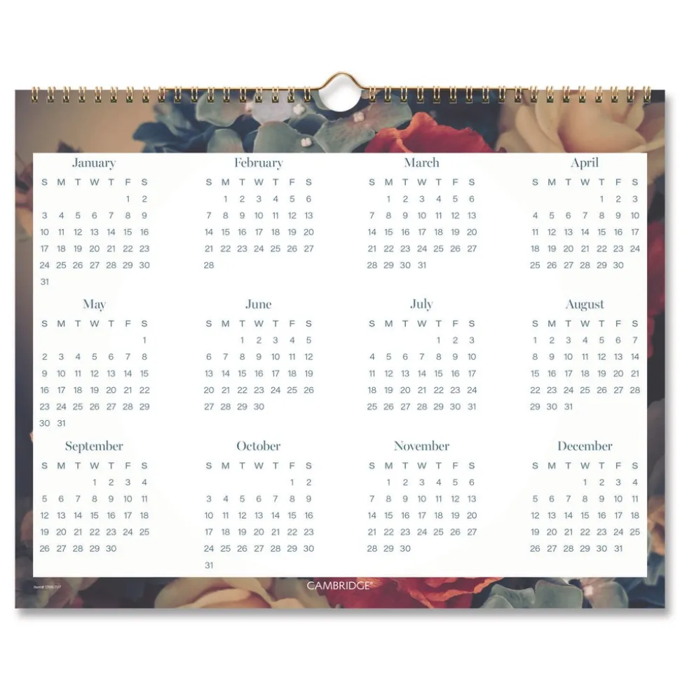 AT-A-GLANCE 15 in. x 12 in. 12-Month (Jan-Dec): 2026 Midnight Garden Monthly Wall Calendar - Floral Artwork