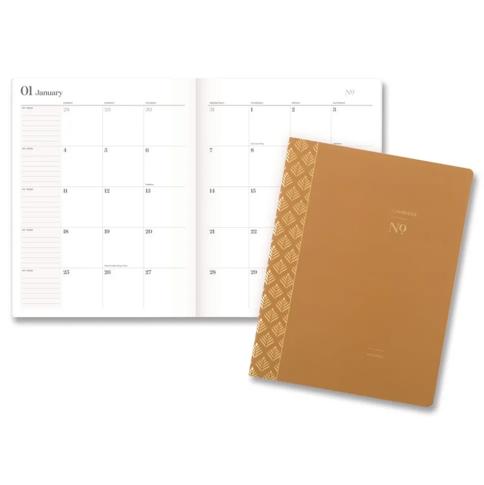AT-A-GLANCE 11 in. x 8.5 in. 12-Month (Jan-Dec 2026) WorkStyle Stitched Monthly Planner - Sunbaked Clay Cover