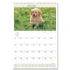 AT-A-GLANCE 12-Month (Jan to Dec): 2026 15.5 in. x 22.75 in. Puppies Photography Puppies Monthly Wall Calendar - White/Multicolor Sheets