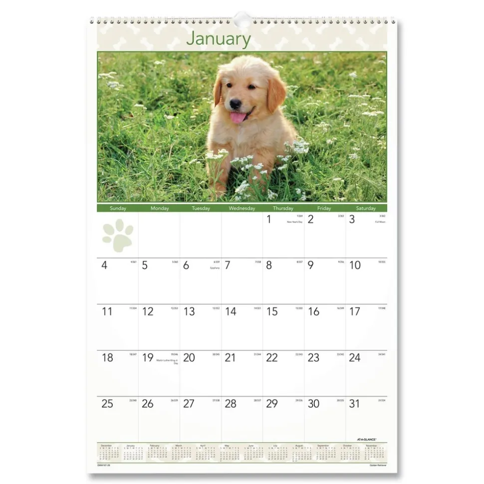 AT-A-GLANCE 12-Month (Jan to Dec): 2026 15.5 in. x 22.75 in. Puppies Photography Puppies Monthly Wall Calendar - White/Multicolor Sheets