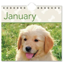 AT-A-GLANCE 12-Month (Jan to Dec): 2026 15.5 in. x 22.75 in. Puppies Photography Puppies Monthly Wall Calendar - White/Multicolor Sheets