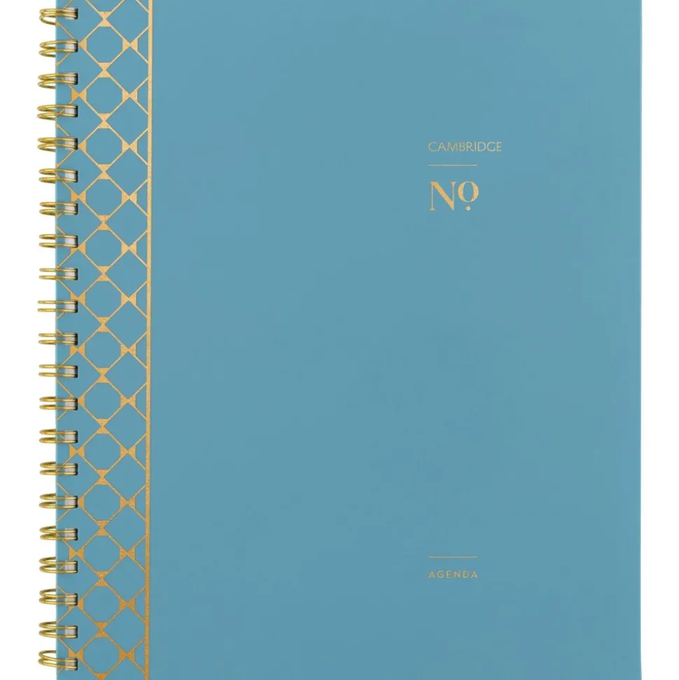 AT-A-GLANCE Workstyle 11 in. x 9.38 in. 12-Month (Jan to Dec) 2025 Geometric Artwork Weekly/Monthly Planner - Blue/Gold Cover