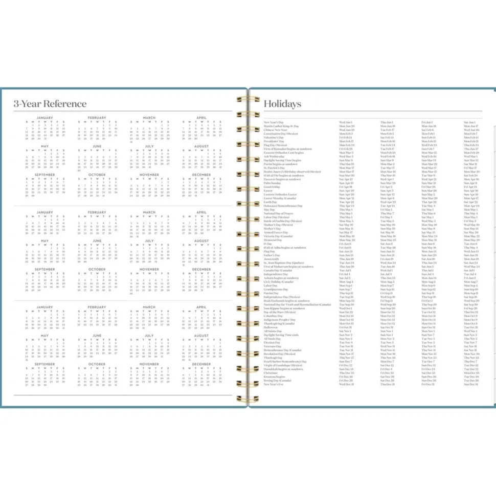 AT-A-GLANCE Workstyle 11 in. x 9.38 in. 12-Month (Jan to Dec) 2025 Geometric Artwork Weekly/Monthly Planner - Blue/Gold Cover