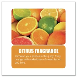 Big D Industries 16.5 oz PHENO D Plus Aerosol Disinfectant/Deodorizer - Citrus Scent (12/Carton)