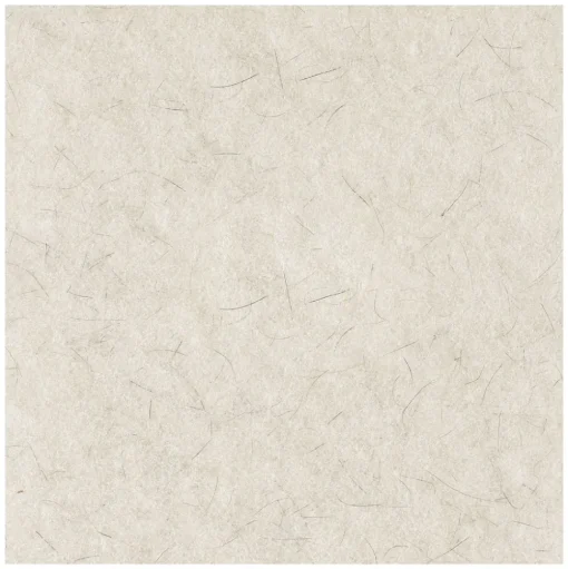 Boardwalk 19 in. Diameter Natural Burnishing Floor Pads - White (5/Carton)