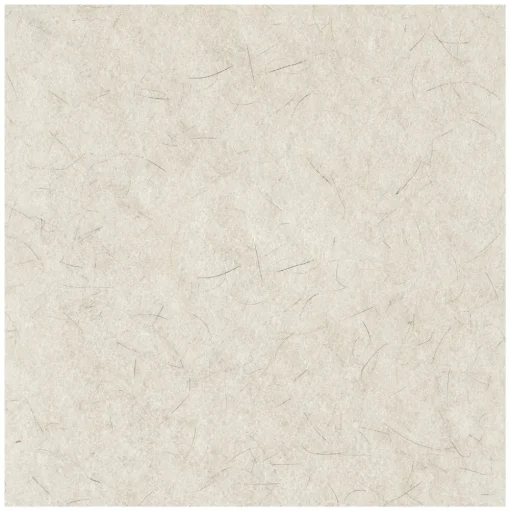 Boardwalk 24 in. Diameter Natural Burnishing Floor Pads - White (5/Carton)
