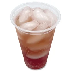 Boardwalk BWKTRANSCUP20CT 20 oz. Translucent Plastic Cold Cups - Clear (1000/Carton)