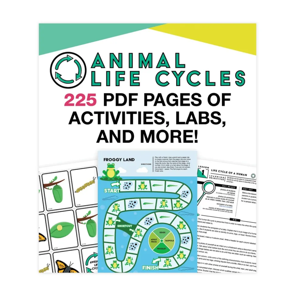 Carson-Dellosa 225 Pages Grades K to 3 (Ages 5 to 8) In a Flash USB - Animal Lifestyles