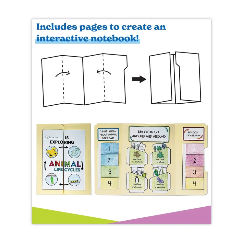 Carson-Dellosa 225 Pages Grades K to 3 (Ages 5 to 8) In a Flash USB - Animal Lifestyles