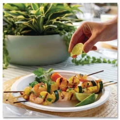 Chinet PaperPro 10-1/2 in. Diameter Plate Naturals Fiber Dinnerware - Natural (500/Carton)
