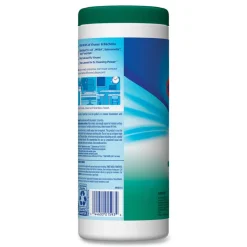 Clorox 7 in. x 8 in. 1-Ply Bleach Free Disinfecting Wipes - Fresh Scent, White (12 Canisters/Carton)