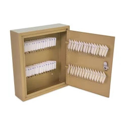 CONTROLTEK 10.63 in. x 3 in. x 12.13 in. 60-Key Metal Lockable Key Cabinet - Sand