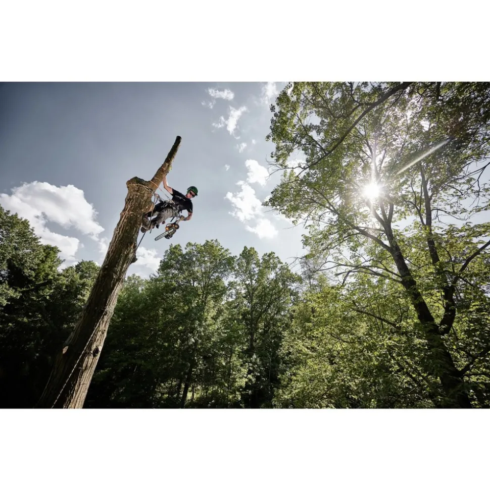 Dewalt 60V MAX Top Handle Lithium-Ion 14 in. Cordless Chainsaw Kit with 2 Batteries (9 Ah)