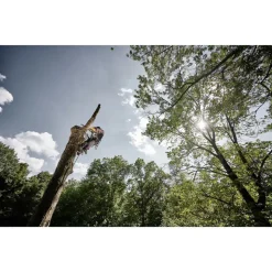 Dewalt 60V MAX Top Handle Lithium-Ion 14 in. Cordless Chainsaw Kit with 2 Batteries (9 Ah)