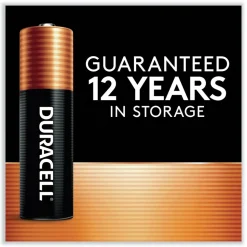 Duracell Power Boost CopperTop Alkaline AAA Batteries (36/Pack)