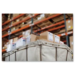 DYMO LW 4 in. x 6 in. Shipping Labels - White/Extra-Large (10/Pack)