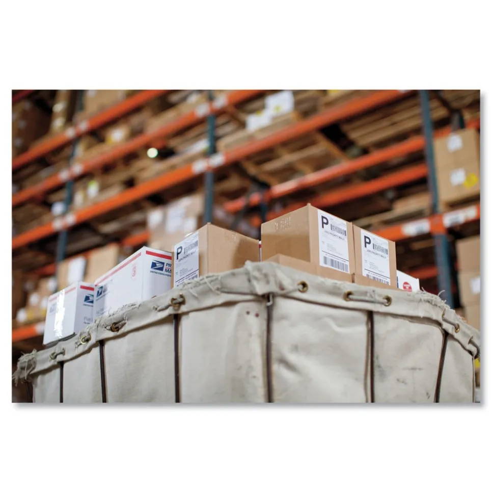 DYMO LW 4 in. x 6 in. Shipping Labels - White/Extra-Large (10/Pack)