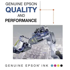 Epson (60) DURABrite 450 Page-Yield Ink - Black