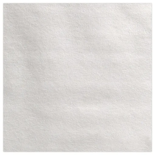 Georgia Pacific Professional 1000 ft. 2 Ply Jumbo Jr. Bath Tissue Rolls - White (8/Carton)