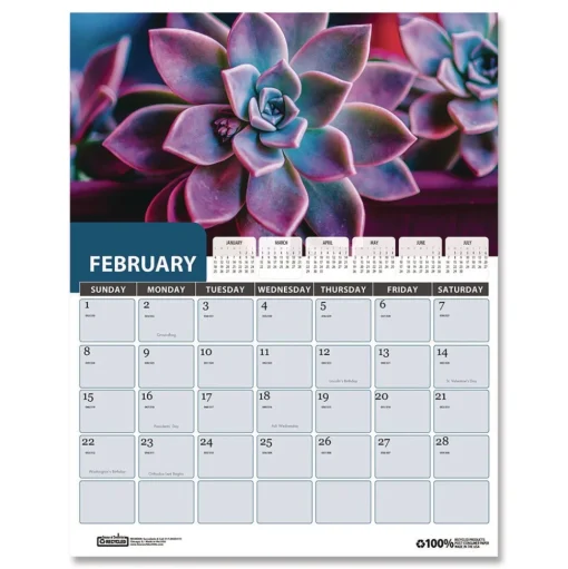 House of Doolittle 14 in. x 11 in. 12-Month (Jan-Dec 2026) Recycled Succulent and Cacti Wall Calendar - Multicolor Sheets