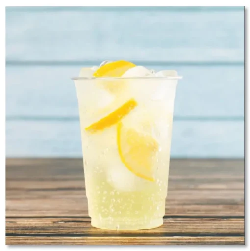 Karat 10 oz. PET Plastic Cups - Clear (1000/Carton)