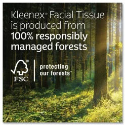 Kleenex 54303 Trusted Care 2-Ply Facial Tissue - White (12/Carton)