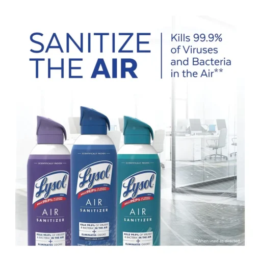 LYSOL Brand 10 oz Aerosol Air Sanitizer Spray - Simple Fresh (6/Carton)