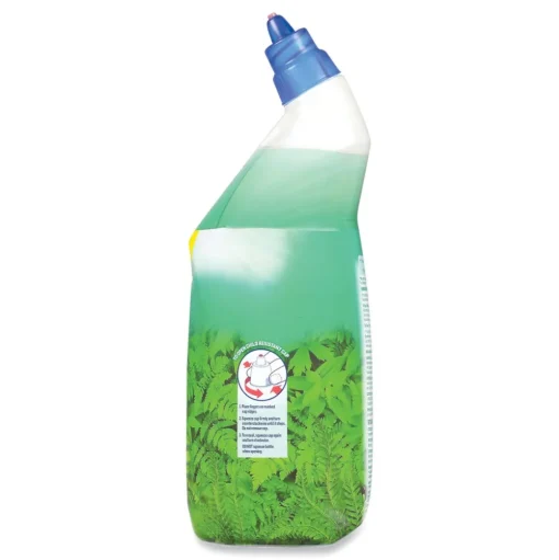 LYSOL Brand 24 oz. Cling and Fresh Toilet Bowl Cleaner - Forest Rain (2/Pack)
