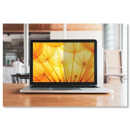 3M Bright Screen Privacy Filter for 14 in. Bezel Widescreen 16:9 Aspect Ratio Fits Laptop/2-in-1