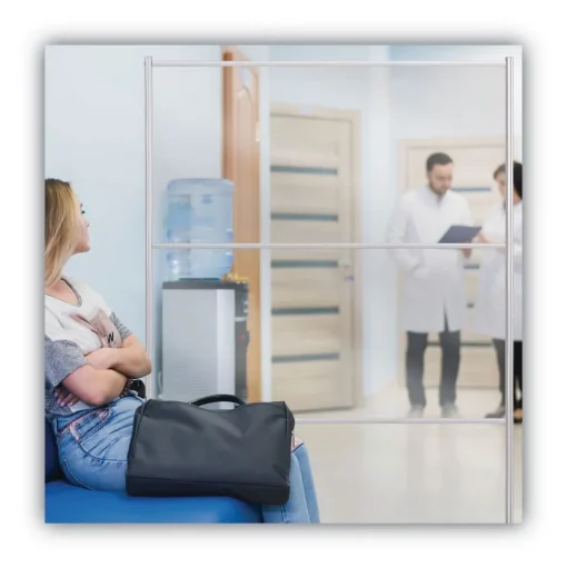 MasterVision 49 in. x 22 in. x 69 in. Protector Series Mobile Glass Panel Divider - Clear/Aluminum