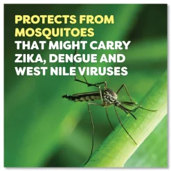 OFF! 6 oz Aerosol Spray Deep Woods Insect Repellent