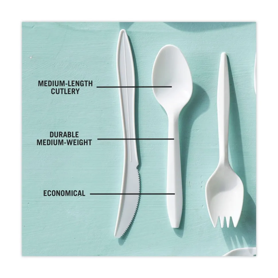 Pactiv Corp. Fieldware Mediumweight Spoon Cutlery - White (1,000/Carton)