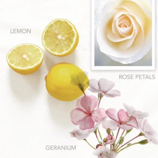 Pure by Gloss 12.2 oz. Hand Wash - Vibrant Lemon Scent (12/Carton)