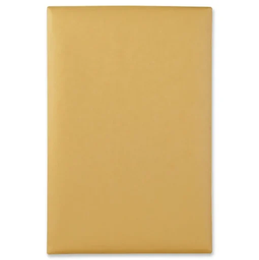Quality Park 6 in. x 9 in. #55 Square Flap Clasp/Gummed Closure Clasp Envelope - Brown Kraft (500/Carton)