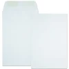Quality Park 6 in. x 9 in. No. 1 28 lbs. Bond Weight Kraft Square Flap Gummed Closure Catalog Envelope - White (500/Box)