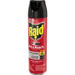 Raid 17.5 oz. Aerosol Spray Ant and Roach Killer - Outdoor Fresh (12/Carton)