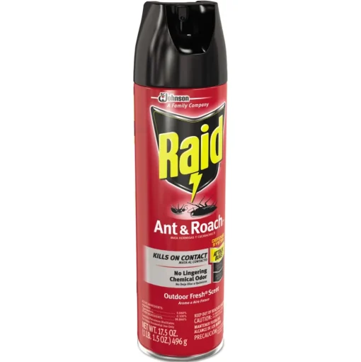 Raid 17.5 oz. Aerosol Spray Ant and Roach Killer - Outdoor Fresh (12/Carton)