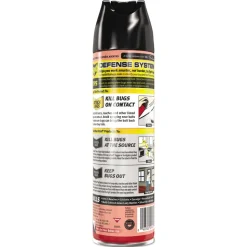 Raid 17.5 oz. Aerosol Spray Ant and Roach Killer - Outdoor Fresh (12/Carton)