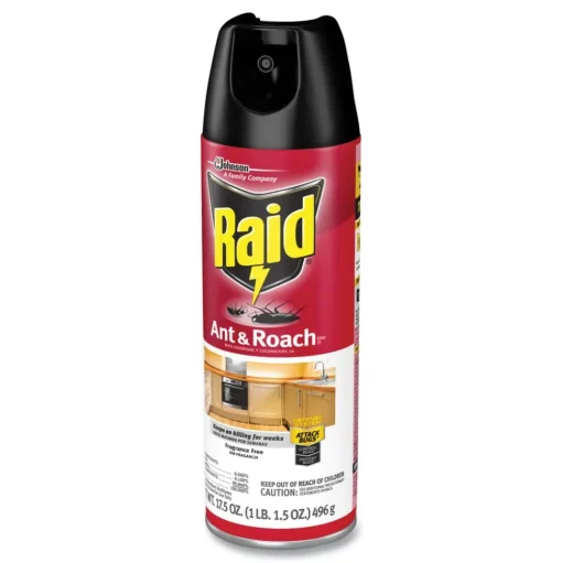 Raid 17.5 oz. Aerosol Spray Ant and Roach Killer - Fragrance Free (12/Carton)
